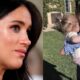 Meghan Markle ‘Terrified’ Her Children Will ‘Blame Her’ For Cutting Them Off From Royal Family