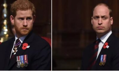 Prince Harry announced he"s ready to take over throne "I'm the rightful heir to the throne" as king Charles revealed Williams is not his biological son...Williams in deep sh*t