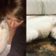 Just in: Taylor Swift mourns the death of her beloved cat Olivia Benson…Taylor honors the memories of her beloved cat “She Lived”