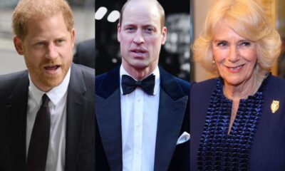 Prince William, Queen Camilla bone of contention in easing relations with Prince Harry