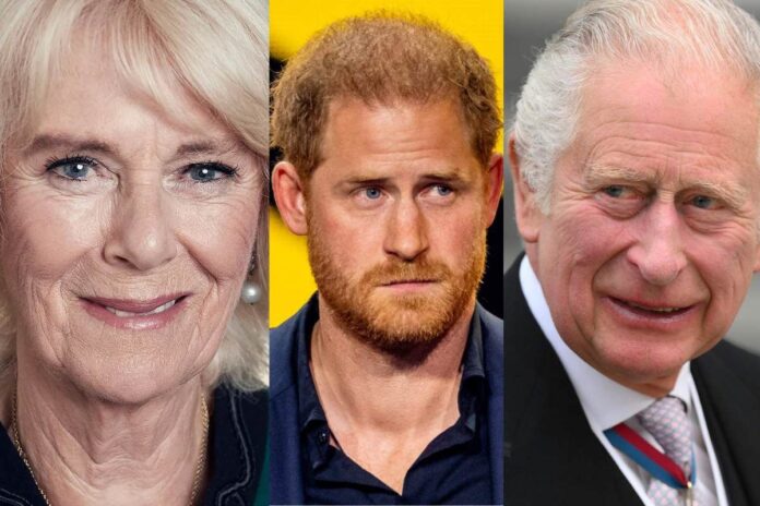 Prince Harry’s connection with the British Royal Family is strained because Queen Camilla forbids him from having private conversations with King Charles, citing concerns about trust and possible health information breaches.