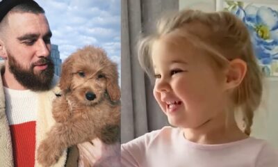 Uncle Travis gifted his niece an adorable golden furry friend, Wyatt Was so excited, as She Leap For JOY she said, dazzling with so much happiness “we will name her after winnie”