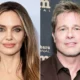 Angelina Jolie Asks That Brad Pitt ‘End the Fighting’ by Dropping His Winery Lawsuit Against Her